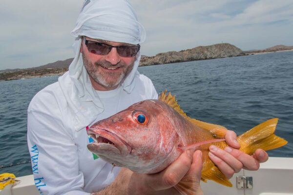 Water Temperature Los Cabos Fishing