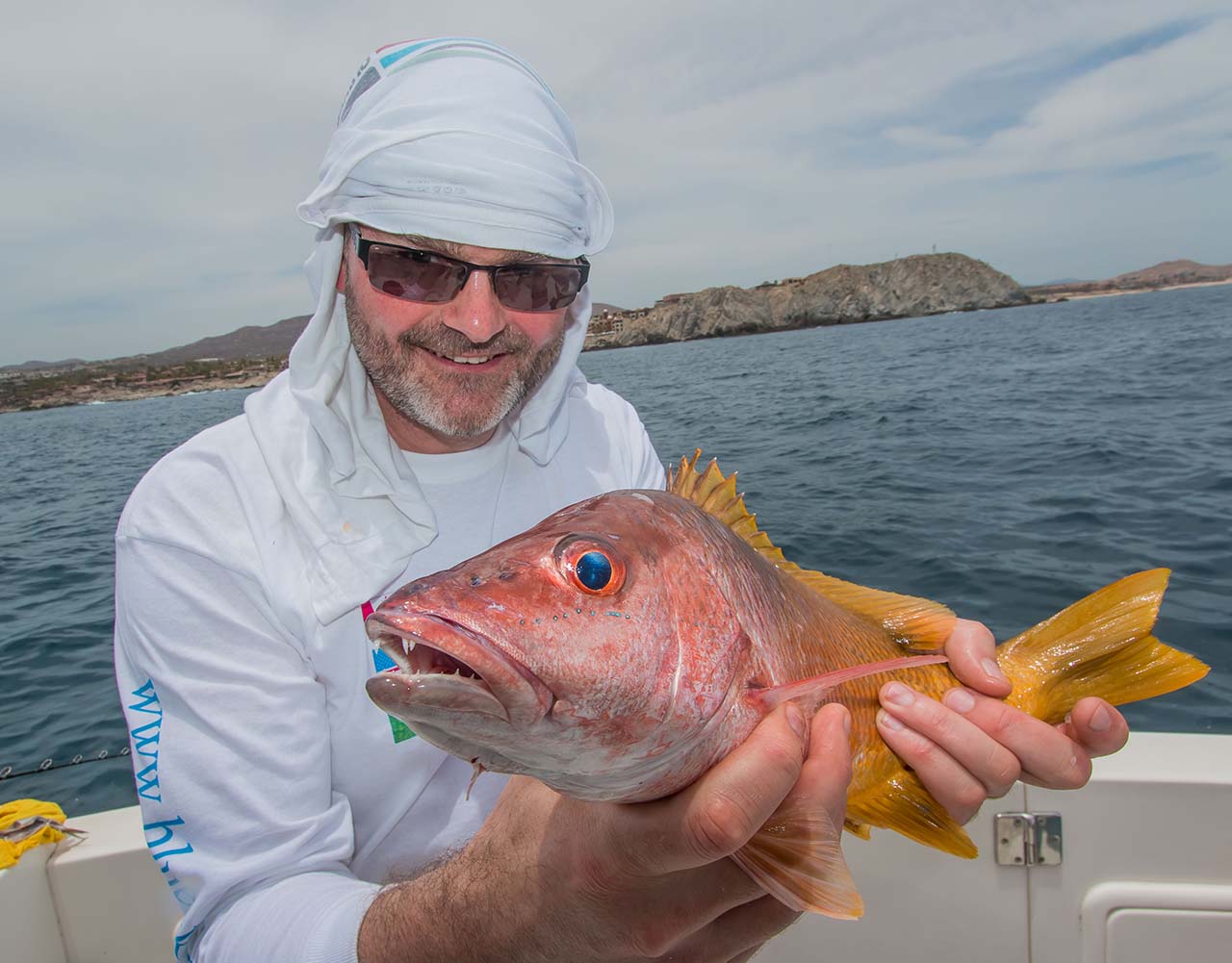 Water Temperature Los Cabos Fishing