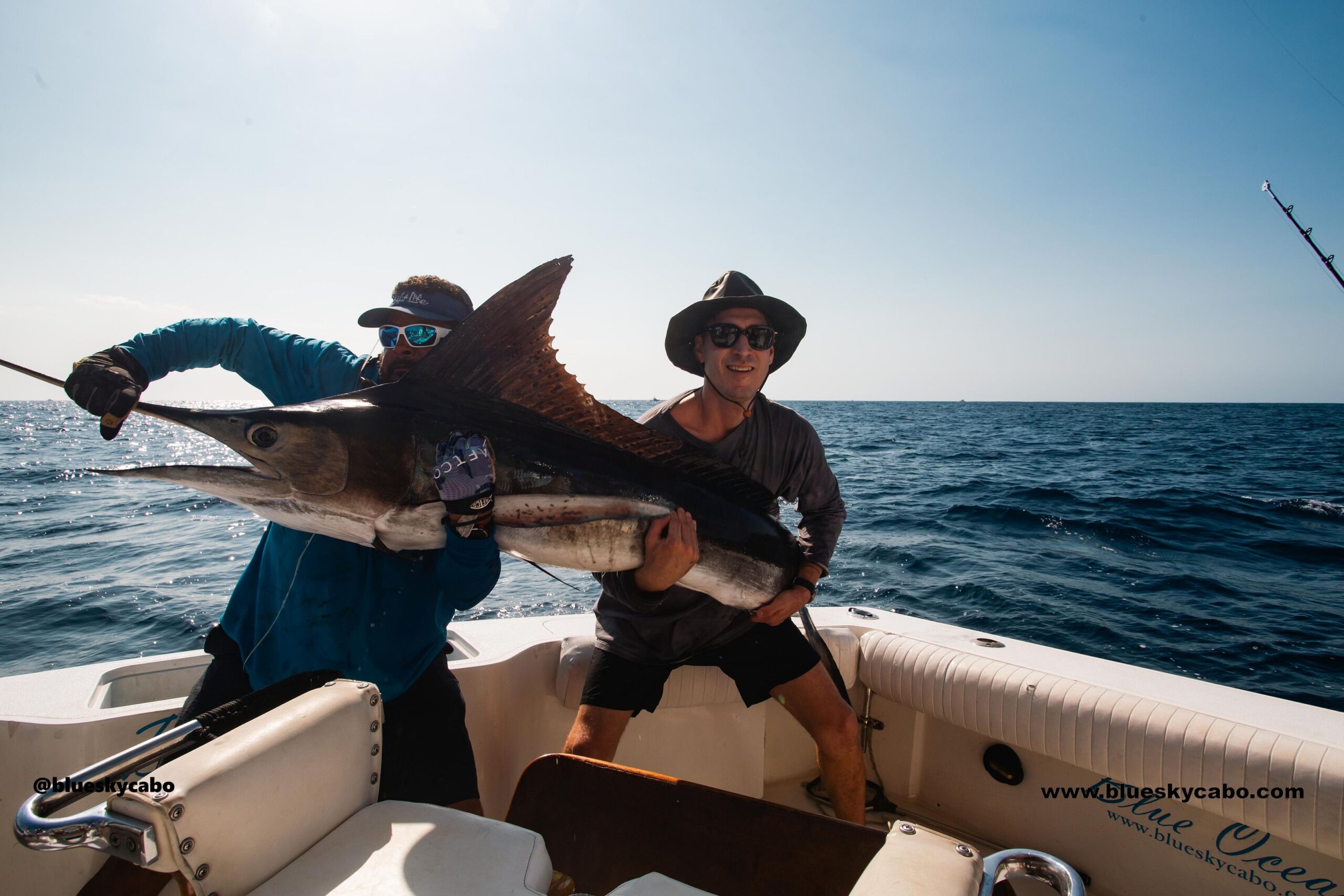 Cabo San Lucas Fishing Report