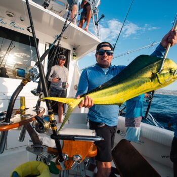 Cabo San Lucas Fishing Report