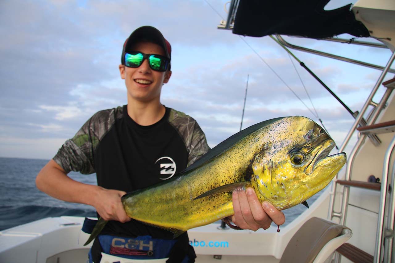 Can You Keep Fish in Cabo