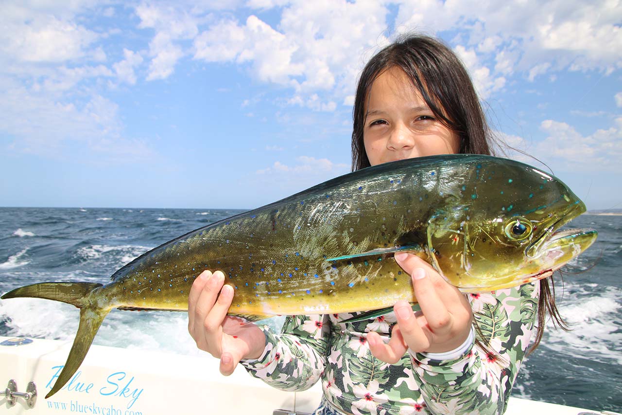 Fishing With Kids Los Cabos