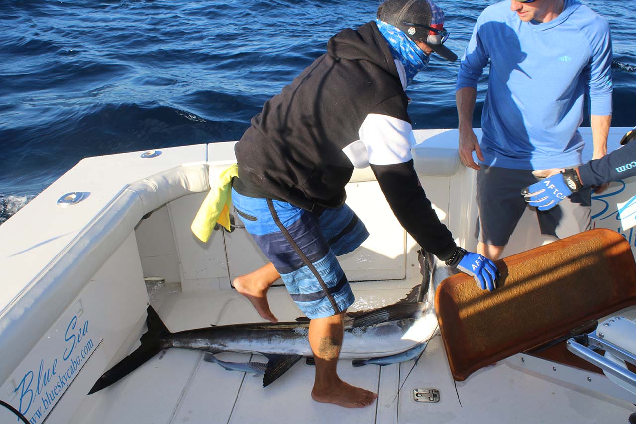 Guided Fishing Tour Los Cabos