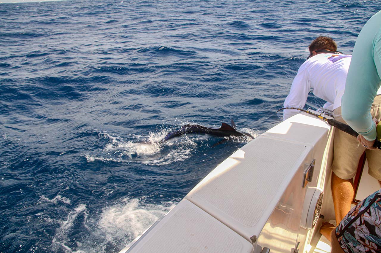 Guided Fishing Tour Los Cabos