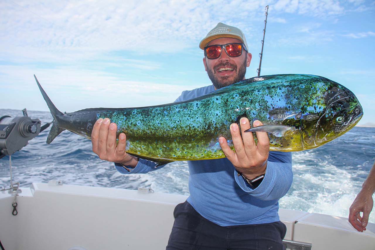 Is It Better to Fish in the Morning or Afternoon in Cabo