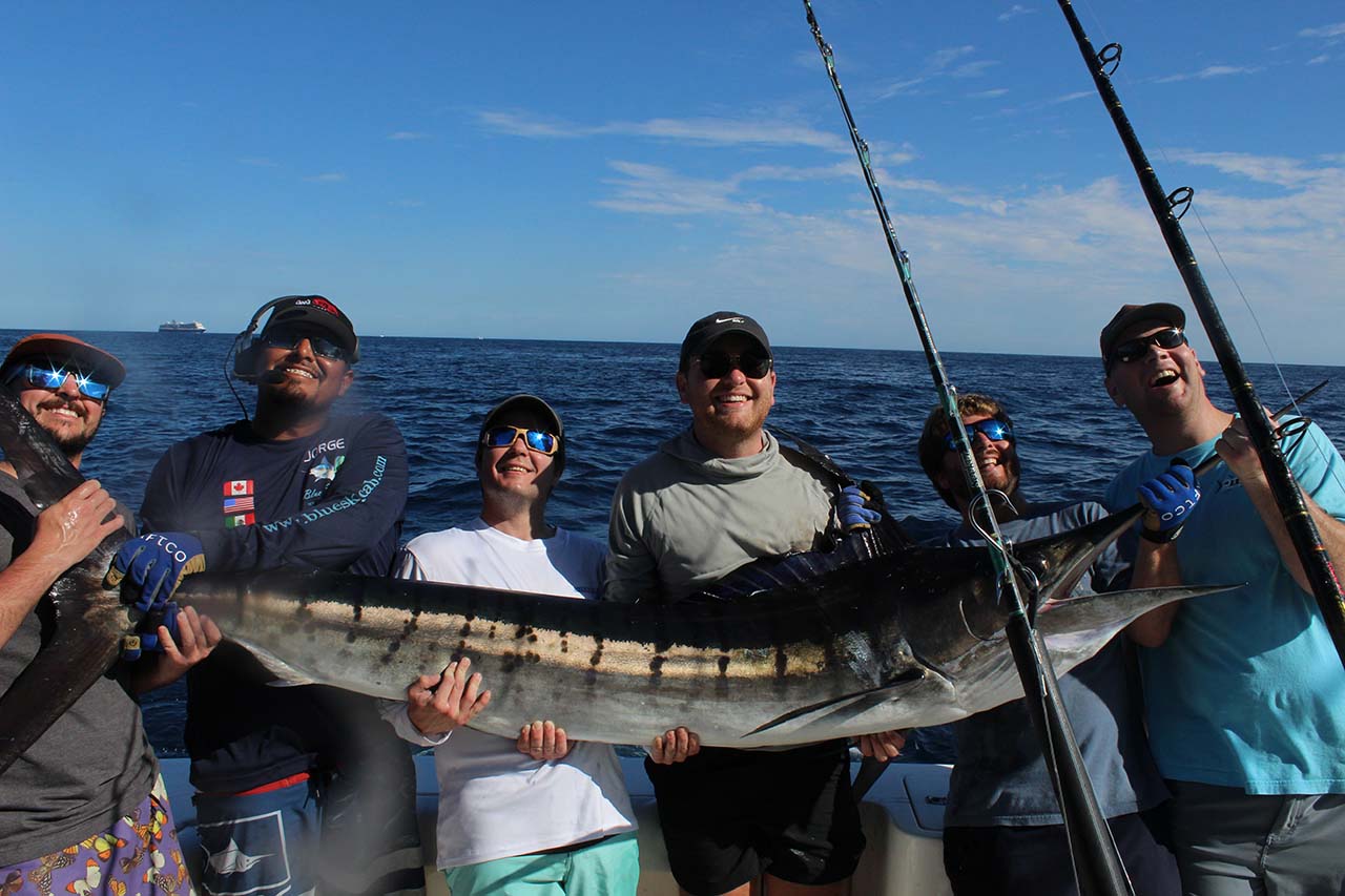 Sport Fishing Blog Los Cabos