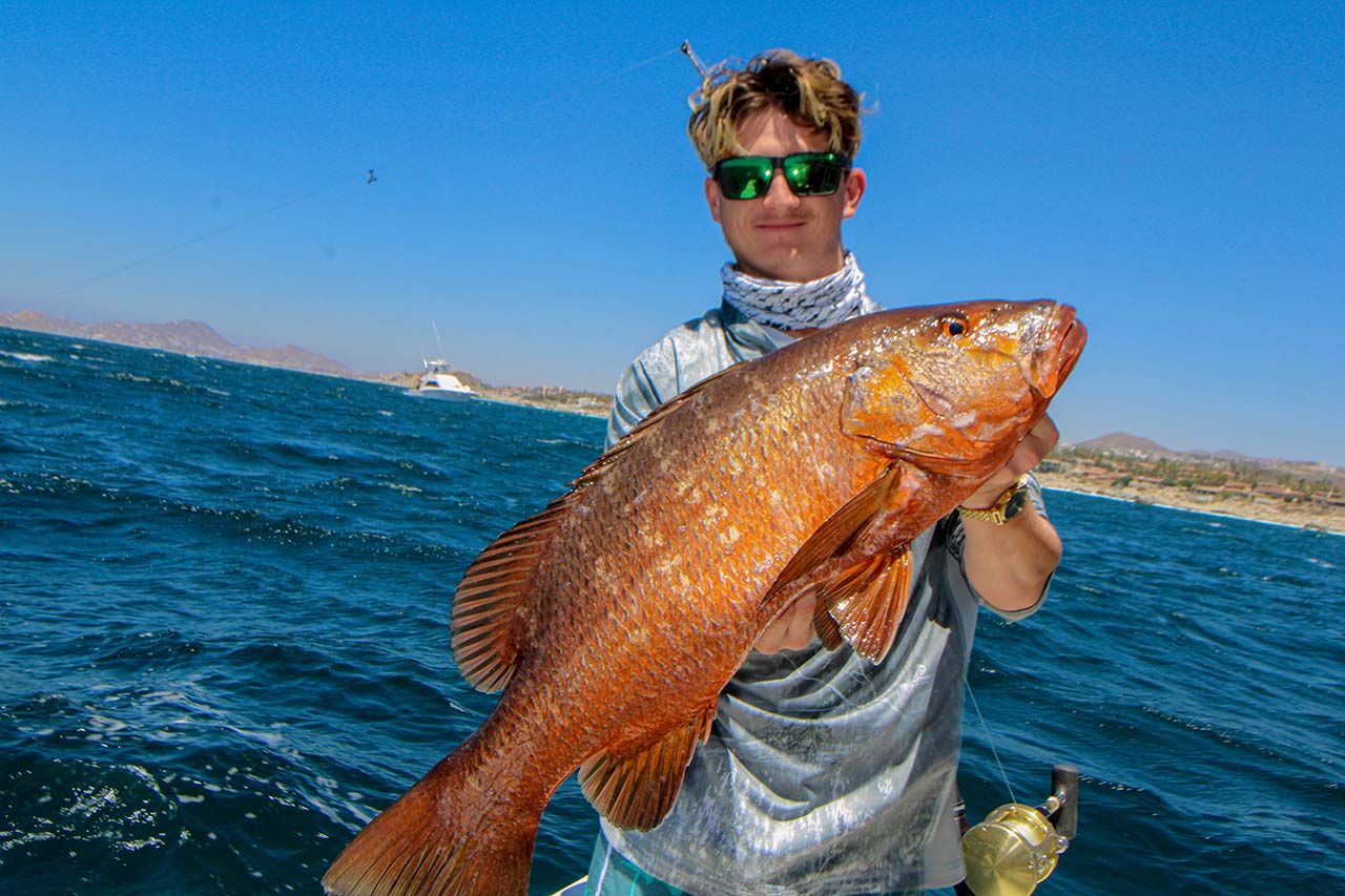 What’s the Difference Between Inshore and Offshore Fishing in Cabo