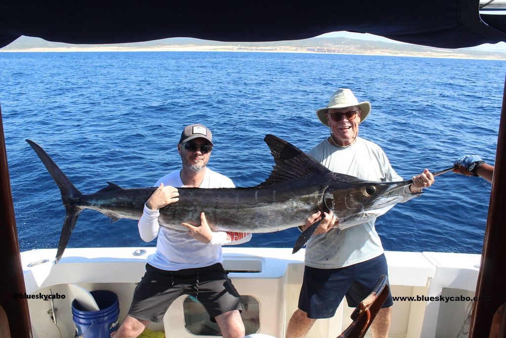 Cabo San Lucas Fishing Report
