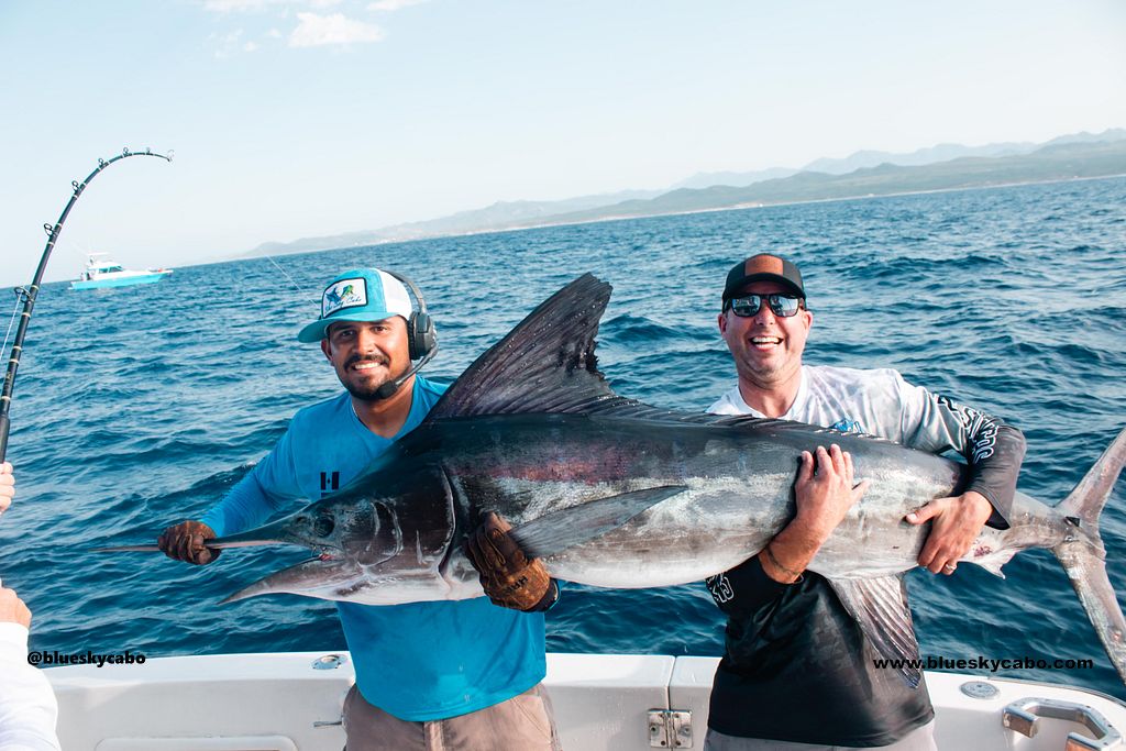 Cabo San Lucas Fishing Report