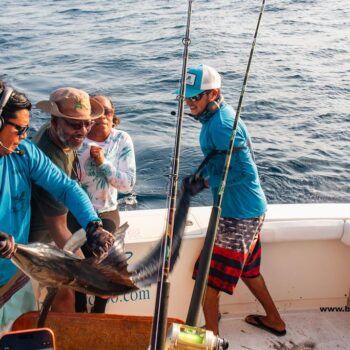 Cabo San Lucas Fishing Report