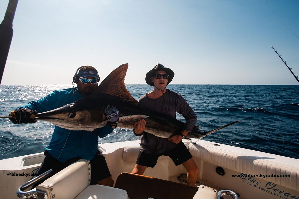 Cabo San Lucas Fishing Report