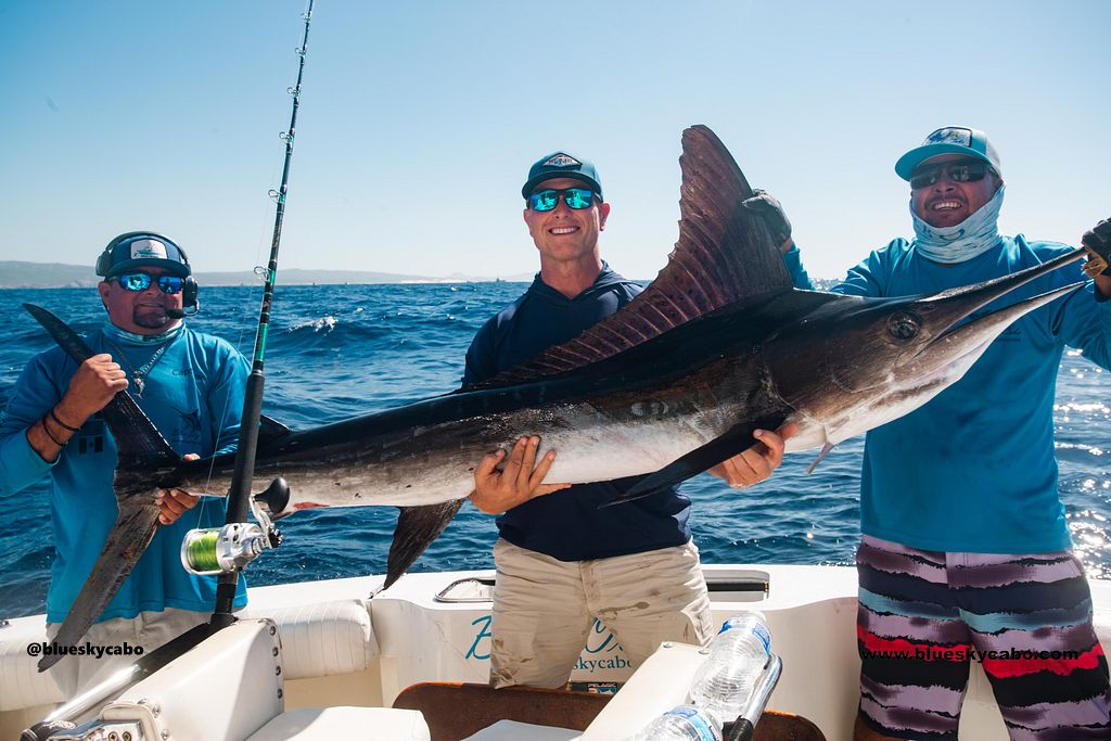 Cabo San Lucas Fishing Report
