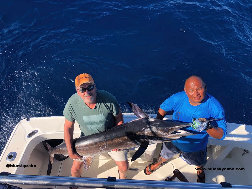 Cabo San Lucas Fishing Report