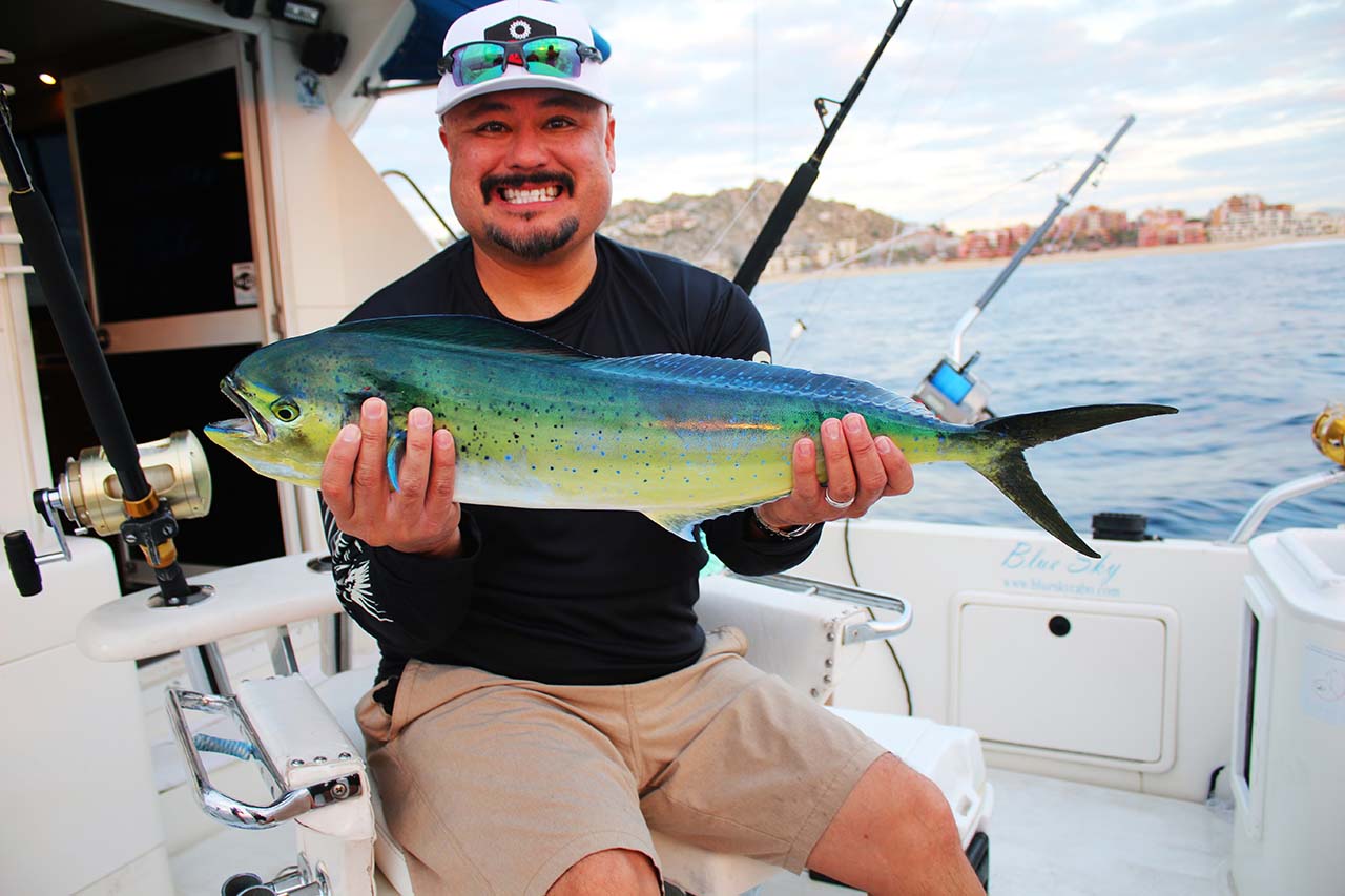 Do Cabo San Lucas Fishing Charters Supply Tackle And Bait