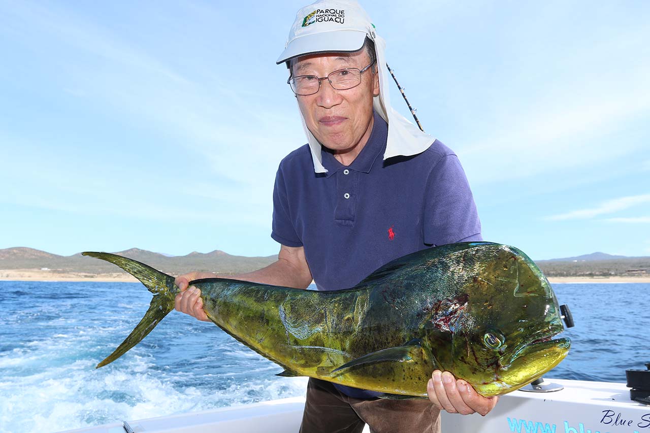 Do I Need a Fishing License for Cabo San Lucas Fishing