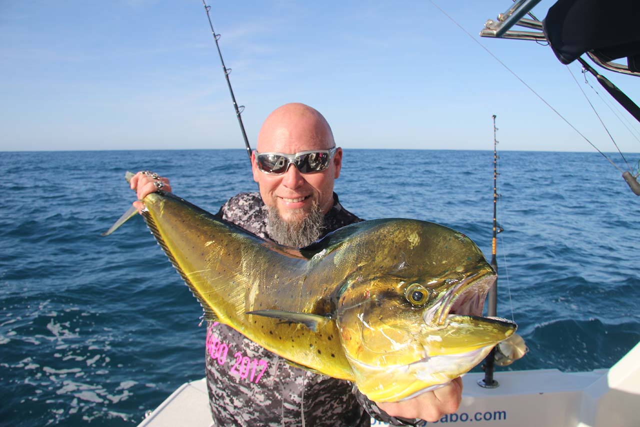 Is It Worth Fishing for Dorado in Cabo