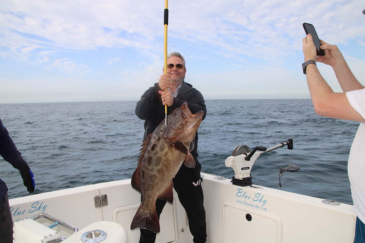 What Certifications Do Cabo San Lucas Fishing Guides Hold