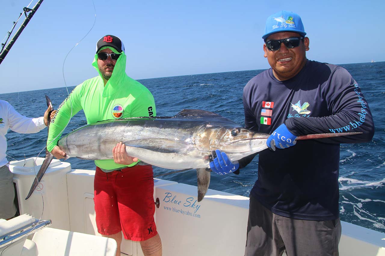 What Is Considered the Offseason for Fishing in Cabo