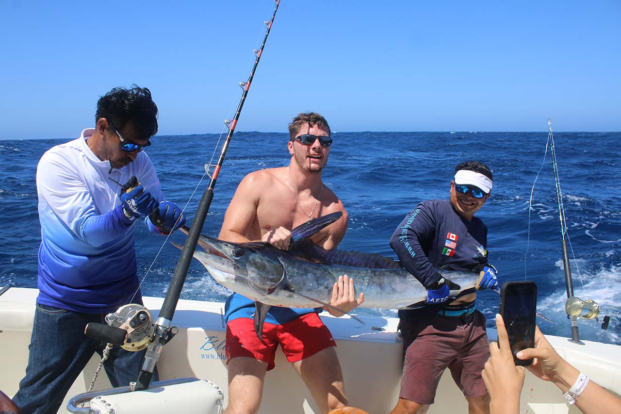 What Is The Average Price To Go Marlin Fishing In Los Cabos