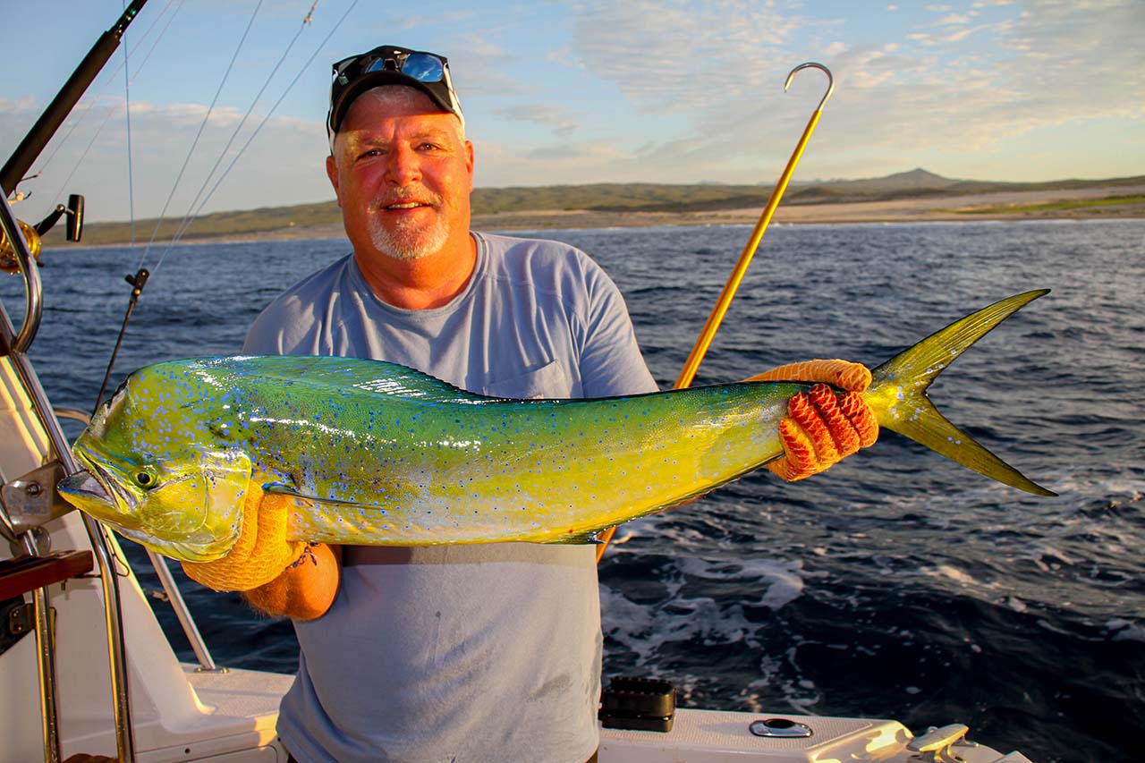 What Is in Season for Fishing in Cabo