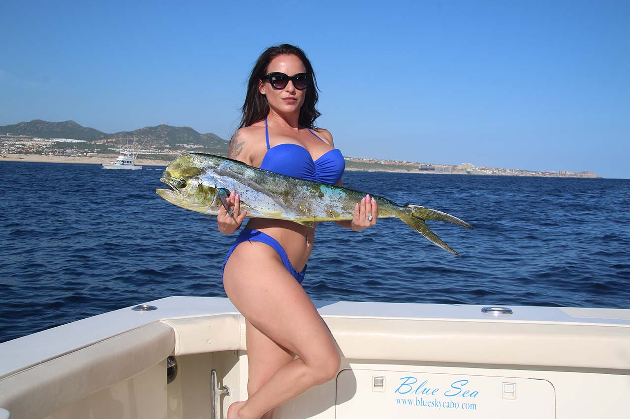 What Is the Best Time of Day for Cabo San Lucas Fishing