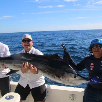 What Is the Best Time of Day to Catch a Marlin in Cabo