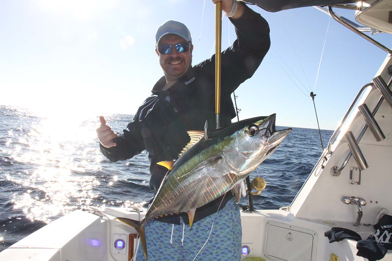 What Is the Most Common Fish in the Sea of Cortez