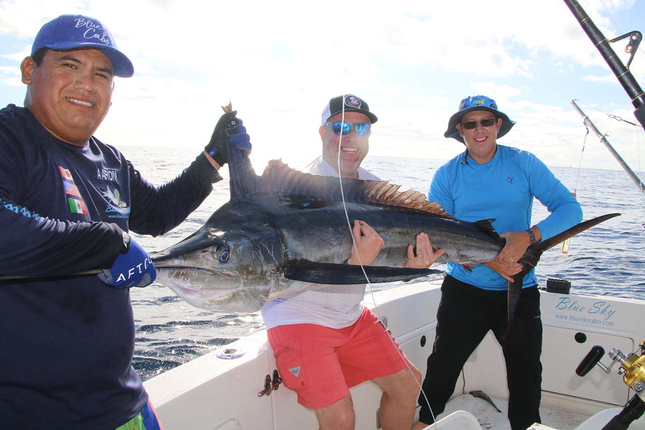 What Month Is Best For Marlin Fishing In Cabo