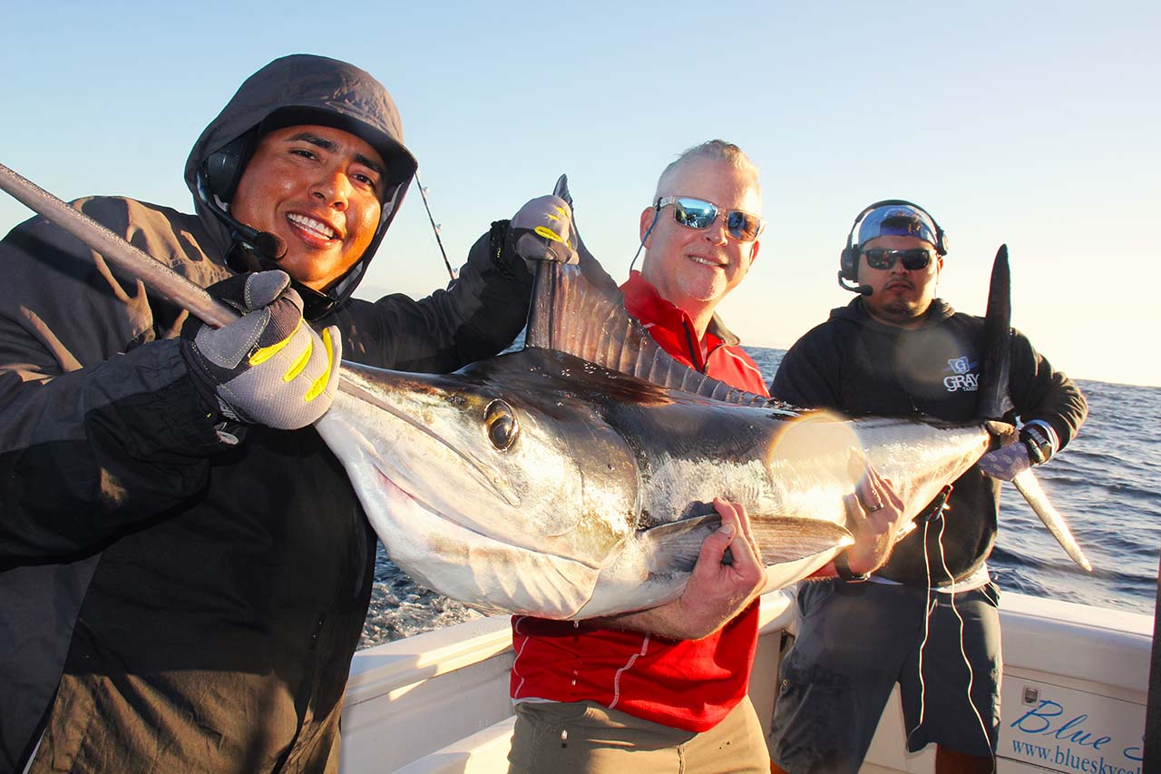 What Size Boats Are Used for Marlin Fishing in Cabo