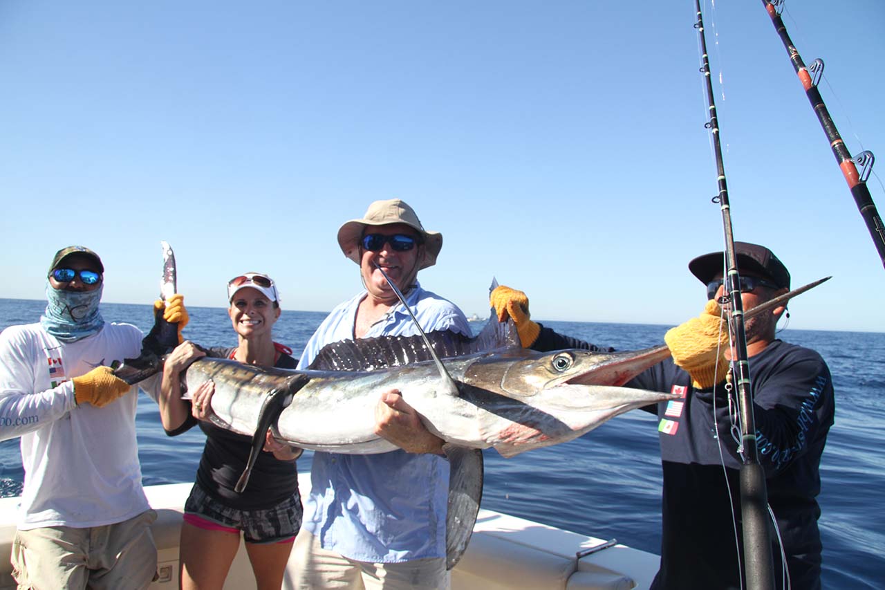 When Is Marlin Season for Cabo San Lucas Fishing