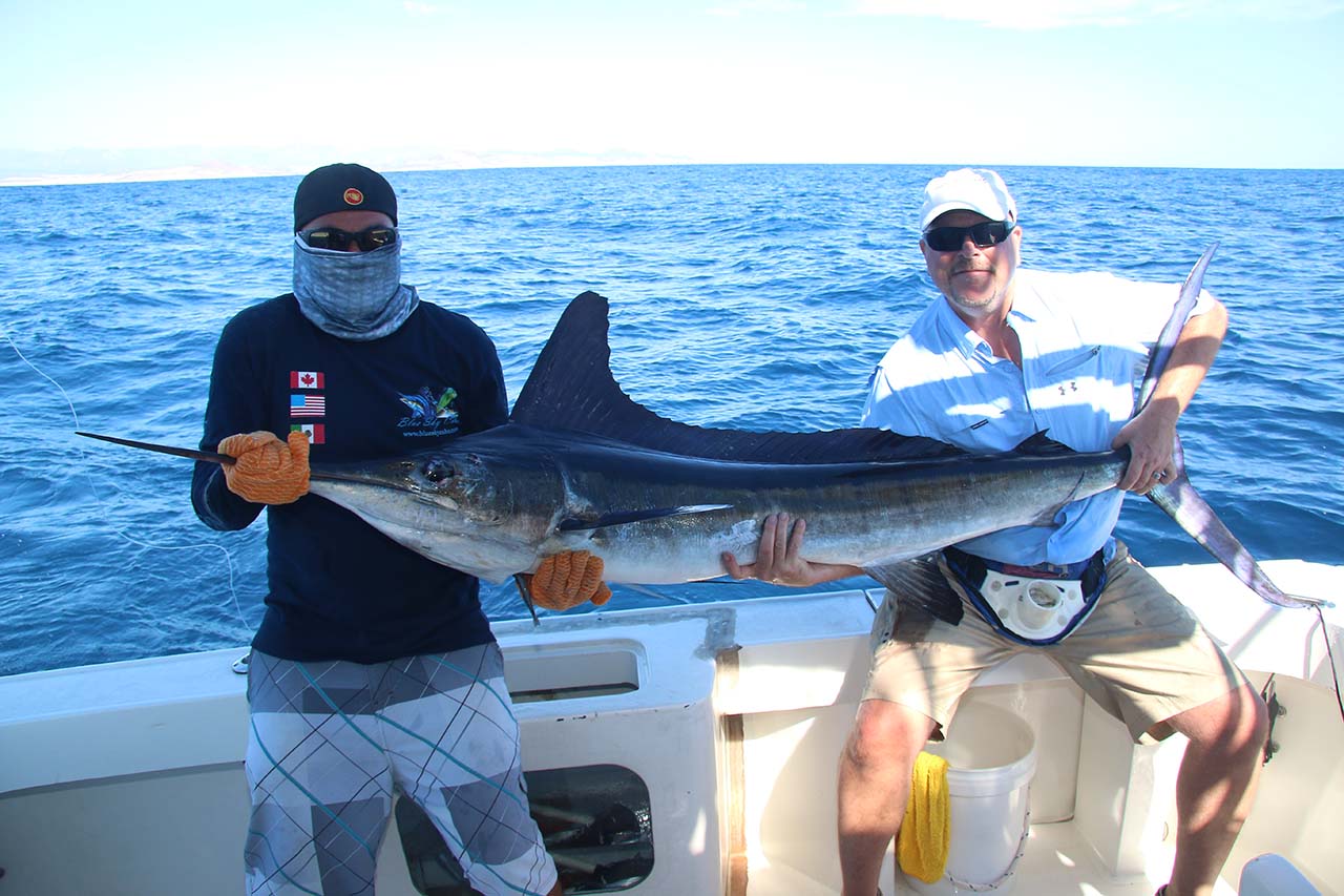 When Is Marlin Season for Cabo San Lucas Fishing