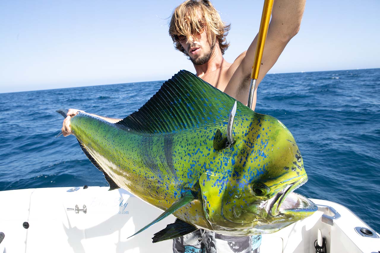 Where Are the Top Spots for Cabo San Lucas Fishing