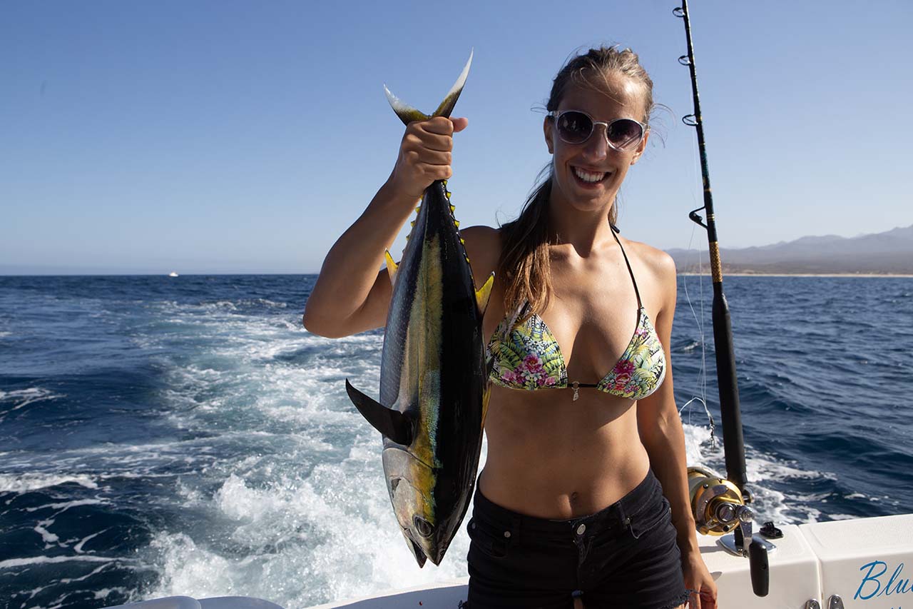 Yellowfin Tuna Cabo January