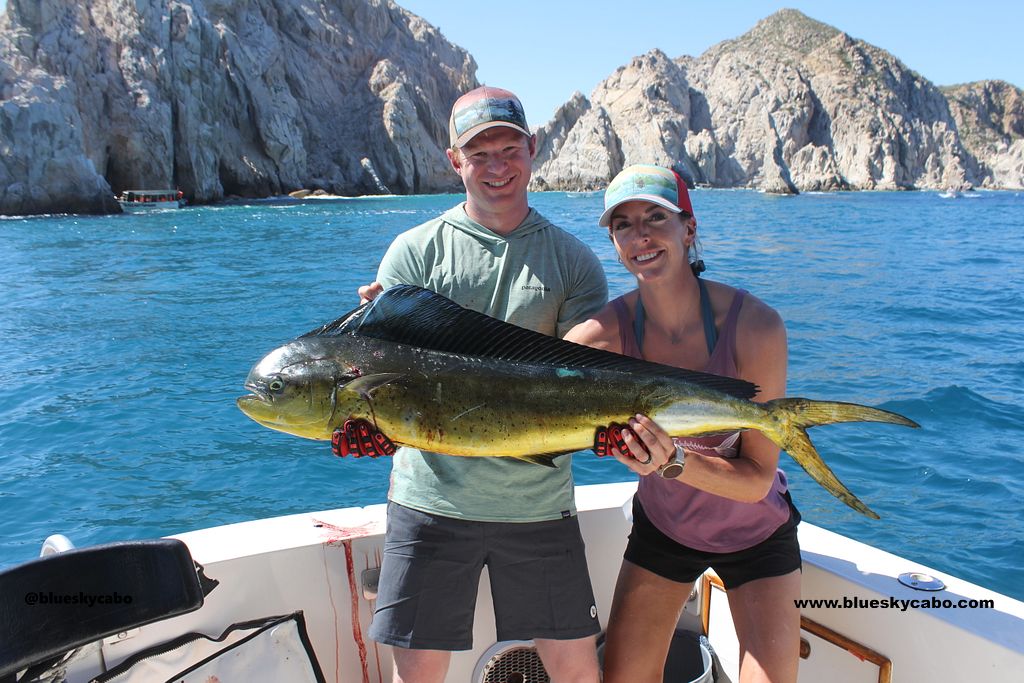 Cabo San Lucas Fishing Report