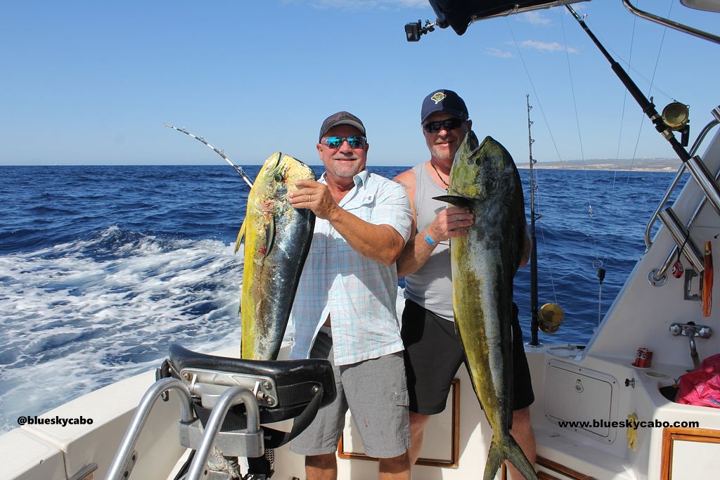 Cabo San Lucas Fishing Report
