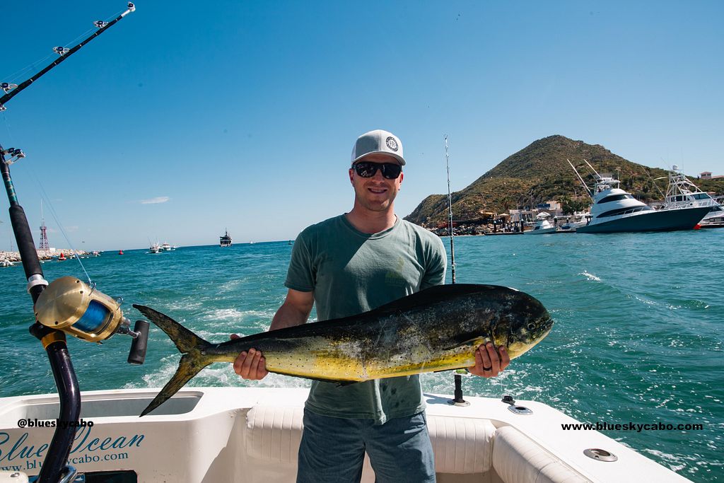 Cabo San Lucas Fishing Report