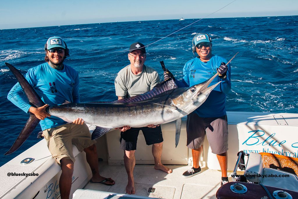 Cabo San Lucas Fishing Report
