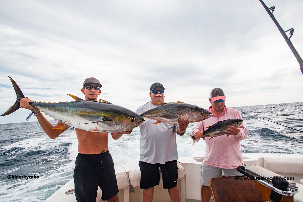 Cabo San Lucas Fishing Report