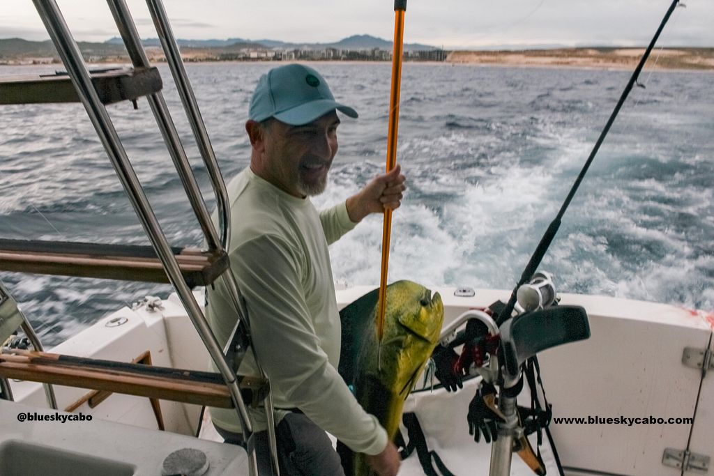 Cabo San Lucas Fishing Report