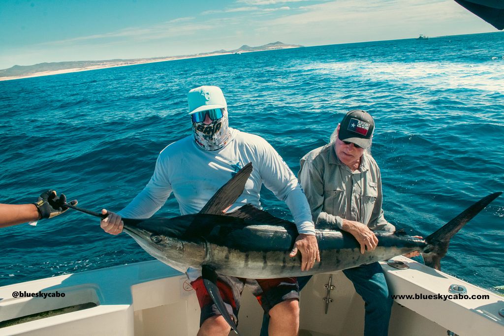 Cabo San Lucas Fishing Report