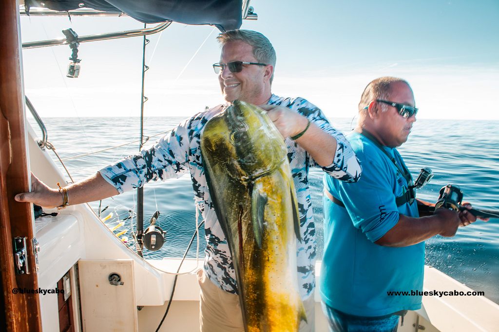 Cabo San Lucas Fishing Report