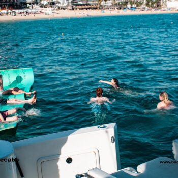 Cabo San Lucas Fishing Report