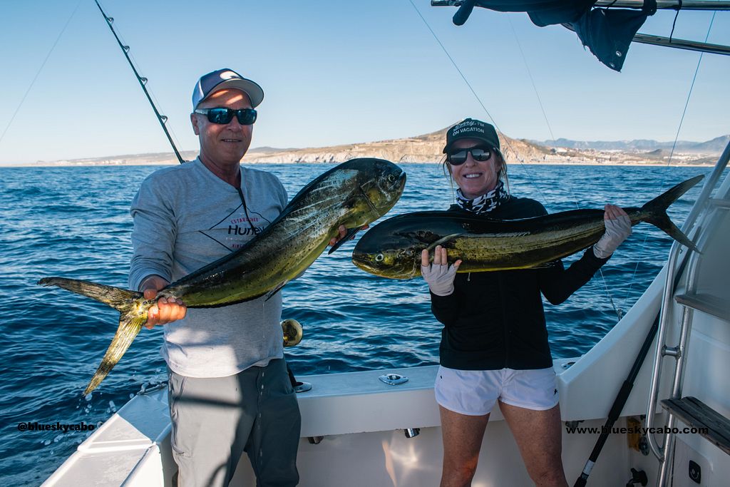 Cabo San Lucas Fishing Report