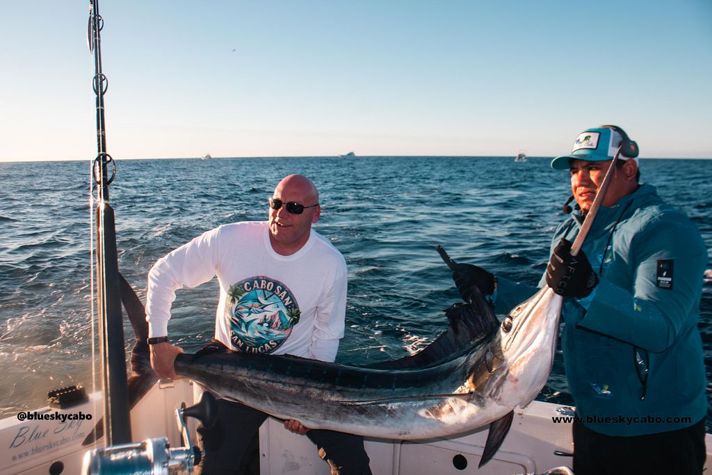 Cabo San Lucas Fishing Report