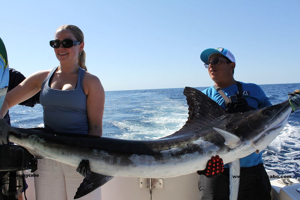 Cabo San Lucas Fishing Report