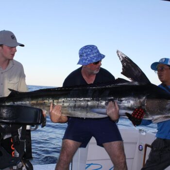 Cabo San Lucas Fishing Report