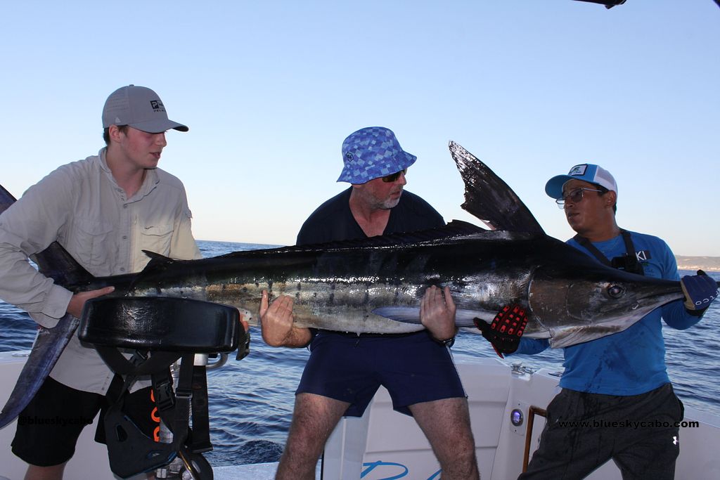 Cabo San Lucas Fishing Report