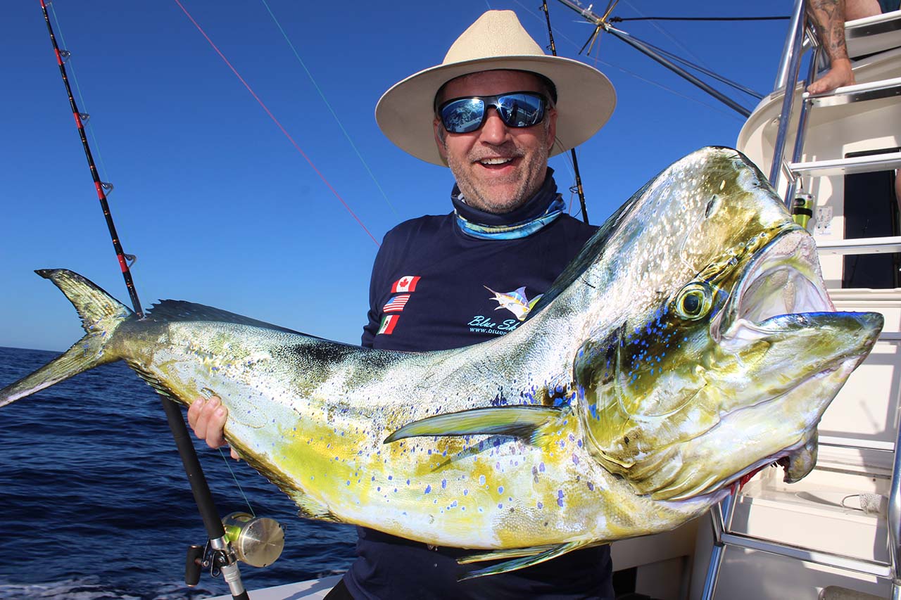 Are There Regulations About Size And Species In Cabo San Lucas Fishing