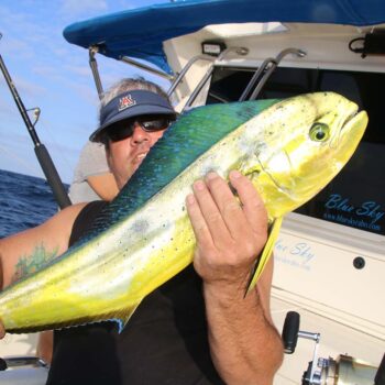 Are There Regulations About Size And Species In Cabo San Lucas Fishing