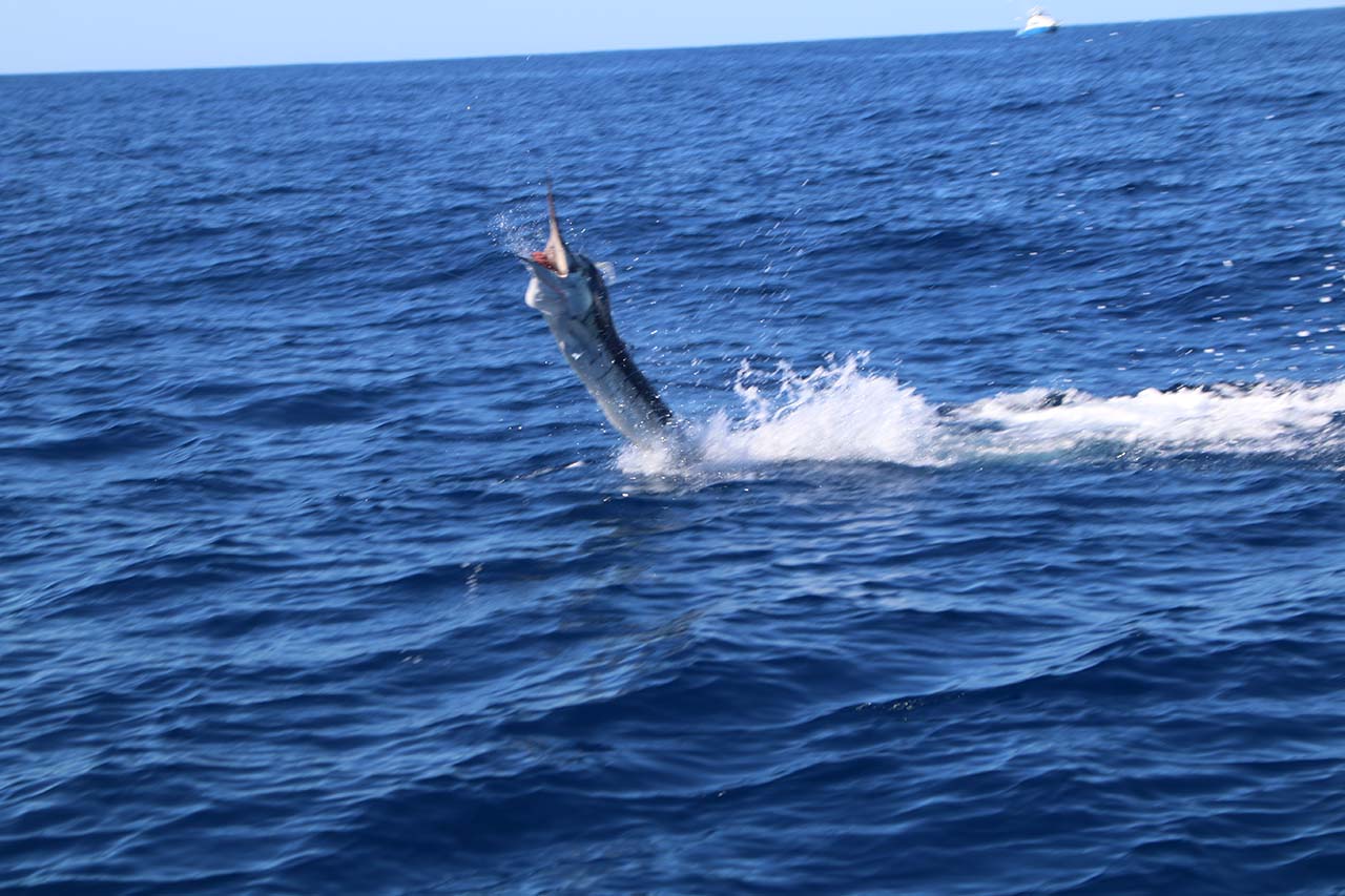 Can I Bring A GoPro To Record My Cabo San Lucas Fishing Trip